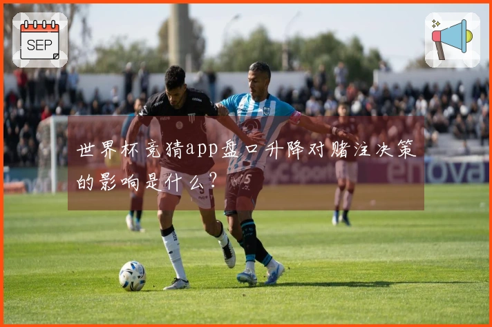 世界杯竞猜app盘口升降对赌注决策的影响是什么？