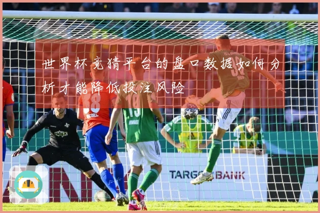 世界杯竞猜平台的盘口数据如何分析才能降低投注风险