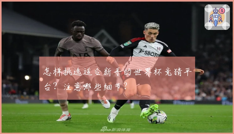 怎样挑选适合新手的世界杯竞猜平台？注意哪些细节？