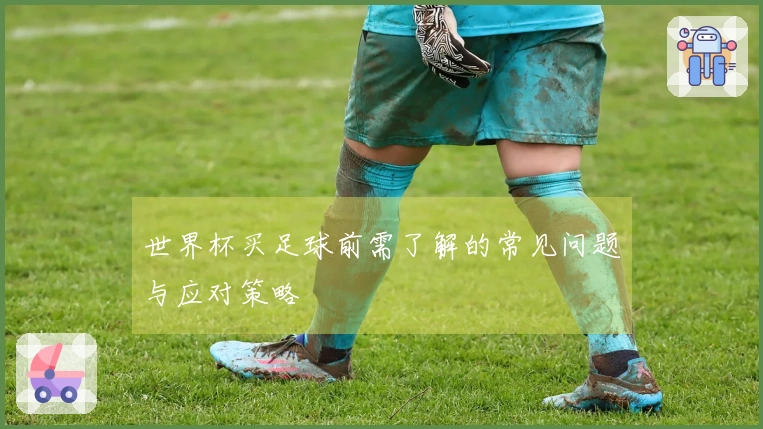世界杯买足球前需了解的常见问题与应对策略