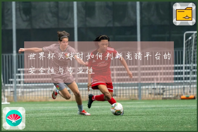 世界杯买球时如何判断竞猜平台的安全性与专业性