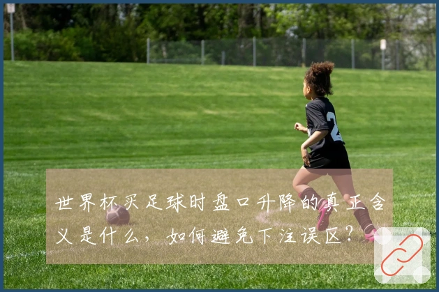世界杯买足球时盘口升降的真正含义是什么，如何避免下注误区？