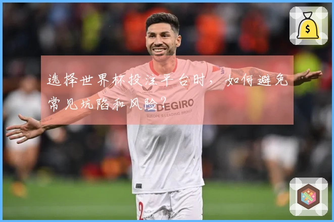 选择世界杯投注平台时，如何避免常见坑陷和风险？