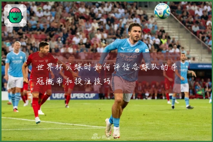 世界杯买球时如何评估各球队的夺冠概率和投注技巧