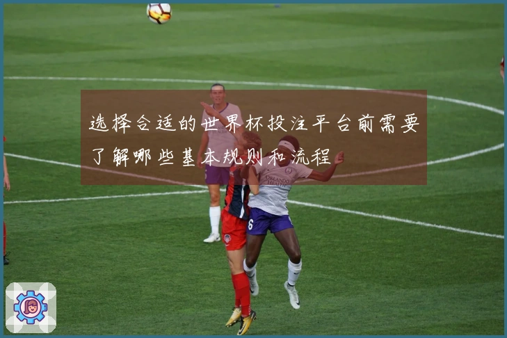 选择合适的世界杯投注平台前需要了解哪些基本规则和流程