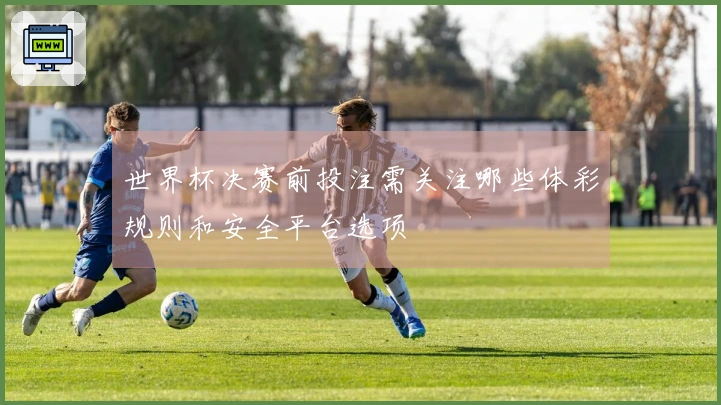 世界杯决赛前投注需关注哪些体彩规则和安全平台选项