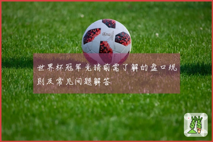 世界杯冠军竞猜前需了解的盘口规则及常见问题解答