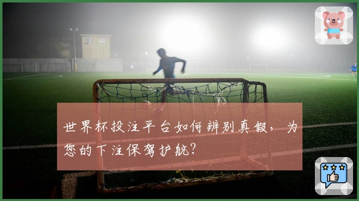 世界杯投注平台如何辨别真假，为您的下注保驾护航？