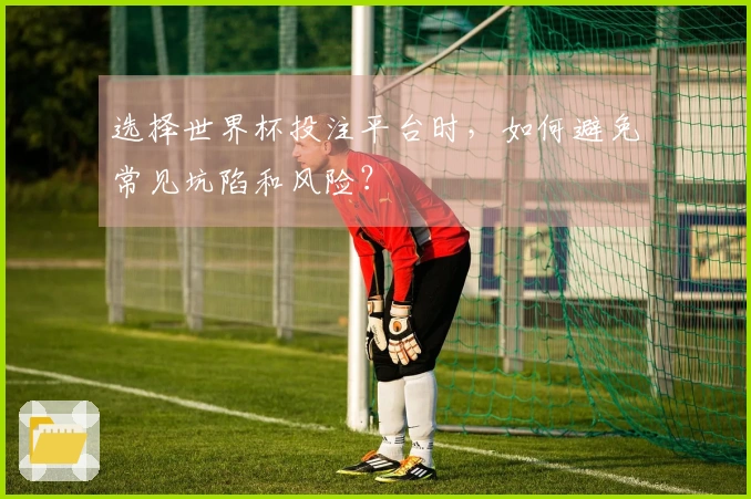 选择世界杯投注平台时，如何避免常见坑陷和风险？
