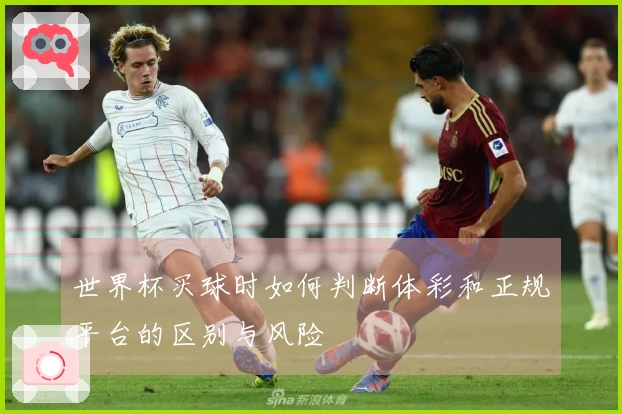 世界杯买球时如何判断体彩和正规平台的区别与风险