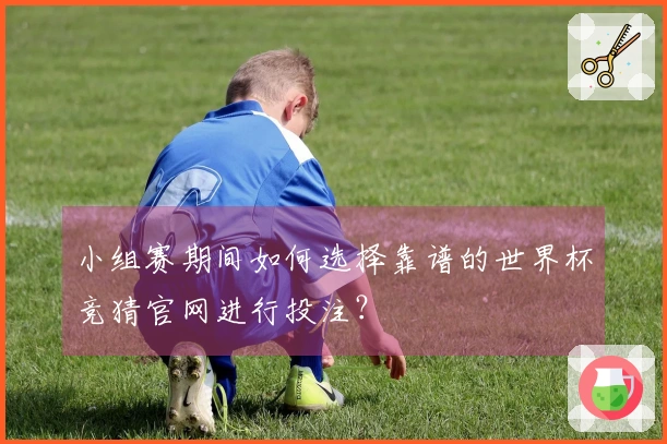 小组赛期间如何选择靠谱的世界杯竞猜官网进行投注？
