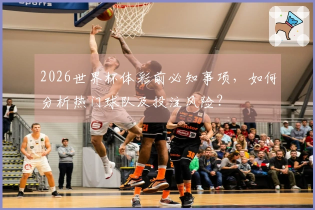 2026世界杯体彩前必知事项，如何分析热门球队及投注风险？