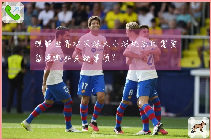 理解世界杯买球大小球玩法时需要留意哪些关键事项？
