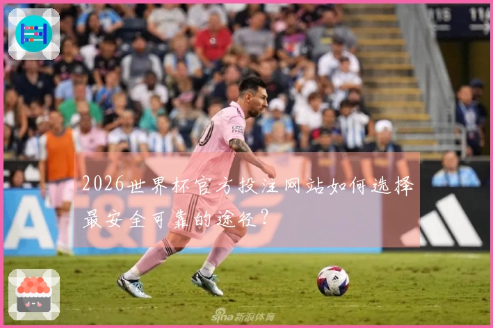 2026世界杯官方投注网站如何选择最安全可靠的途径？