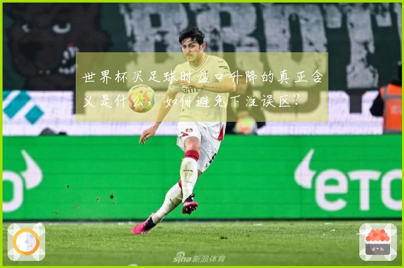 世界杯买足球时盘口升降的真正含义是什么，如何避免下注误区？
