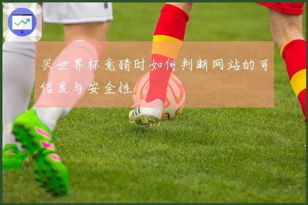 买世界杯竞猜时如何判断网站的可信度与安全性