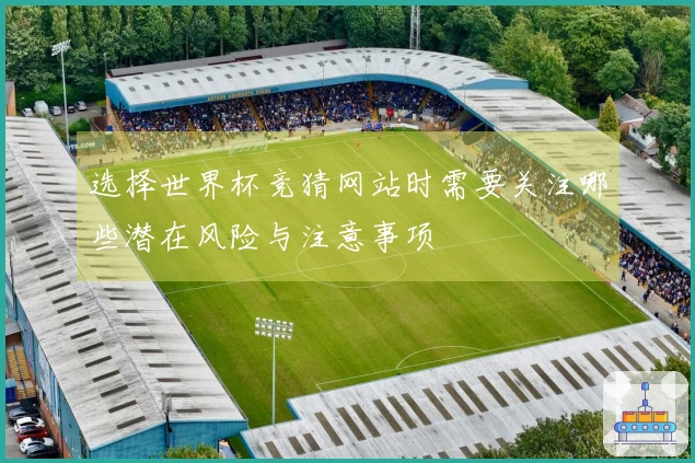 选择世界杯竞猜网站时需要关注哪些潜在风险与注意事项