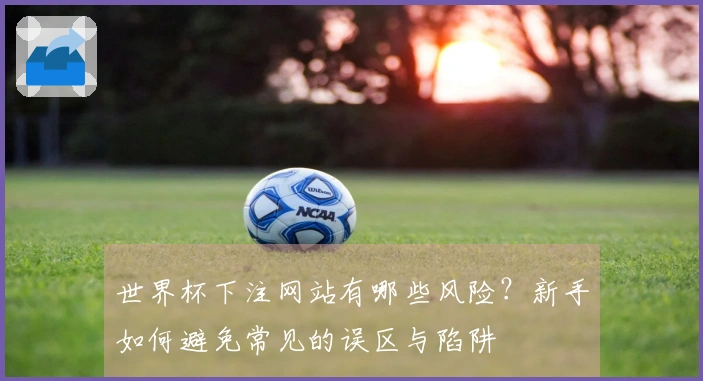 世界杯下注网站有哪些风险？新手如何避免常见的误区与陷阱