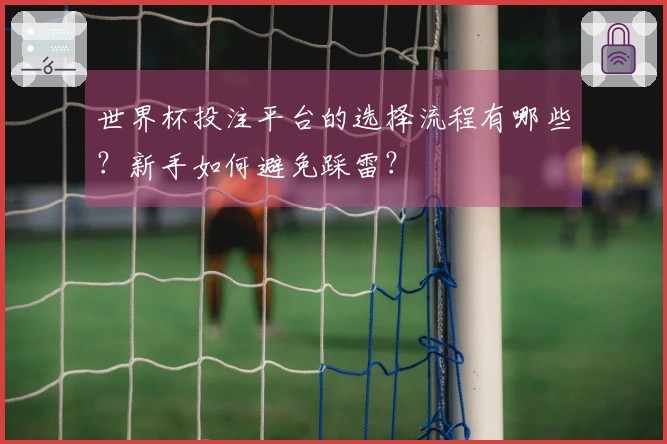 世界杯投注平台的选择流程有哪些？新手如何避免踩雷？