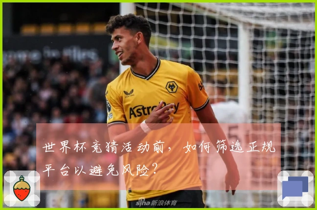 世界杯竞猜活动前，如何筛选正规平台以避免风险？
