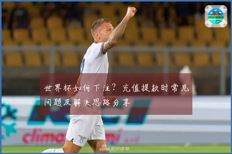 世界杯如何下注？充值提款时常见问题及解决思路分享