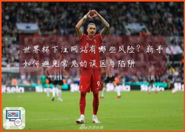 世界杯下注网站有哪些风险？新手如何避免常见的误区与陷阱