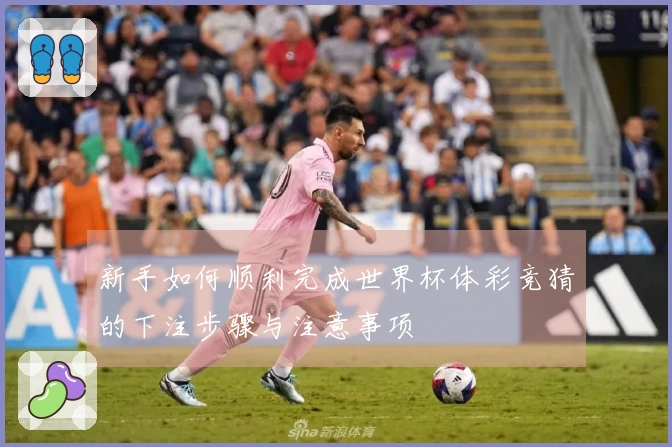 新手如何顺利完成世界杯体彩竞猜的下注步骤与注意事项