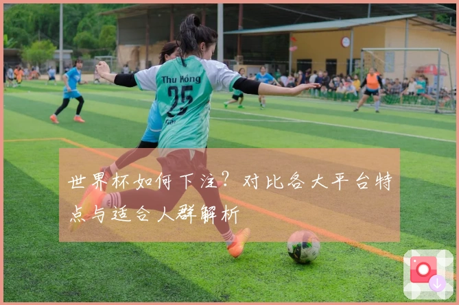 世界杯如何下注？对比各大平台特点与适合人群解析